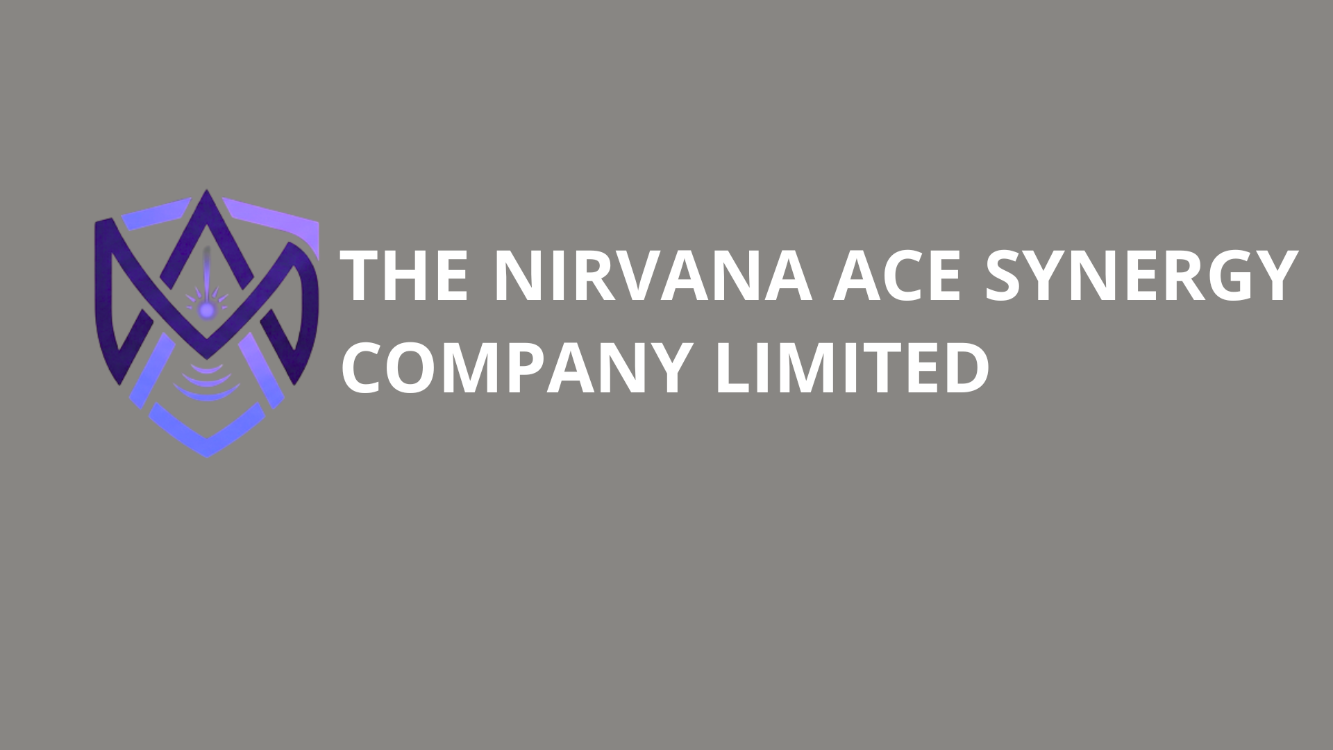 The Nirvana Ace Synergy Company Limited